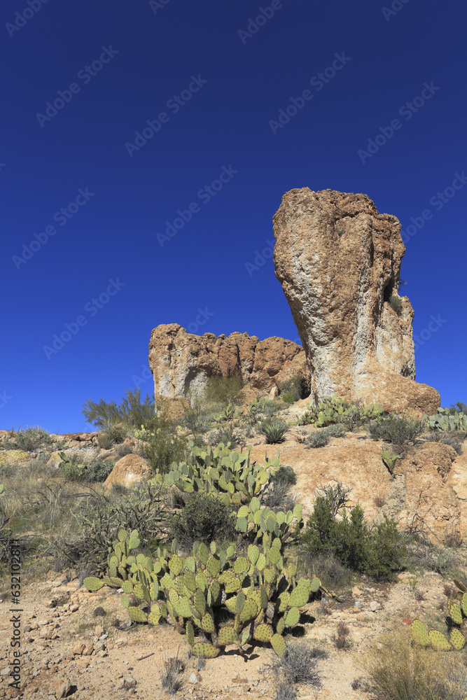 Picturesque Sonoran Upland Area, Arizona