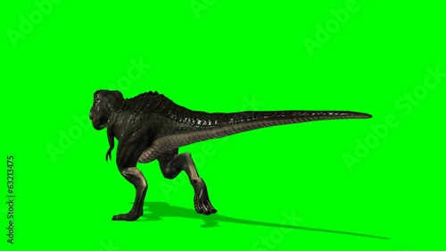 Dinosaur Tyrannosaurus T-Rex runs - green screen