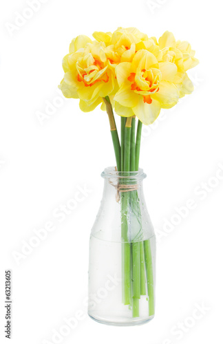 Wallpaper Mural narcissus flowers posy in vase Torontodigital.ca