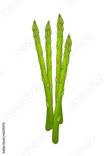Fresh Green Asparagus on A White Background