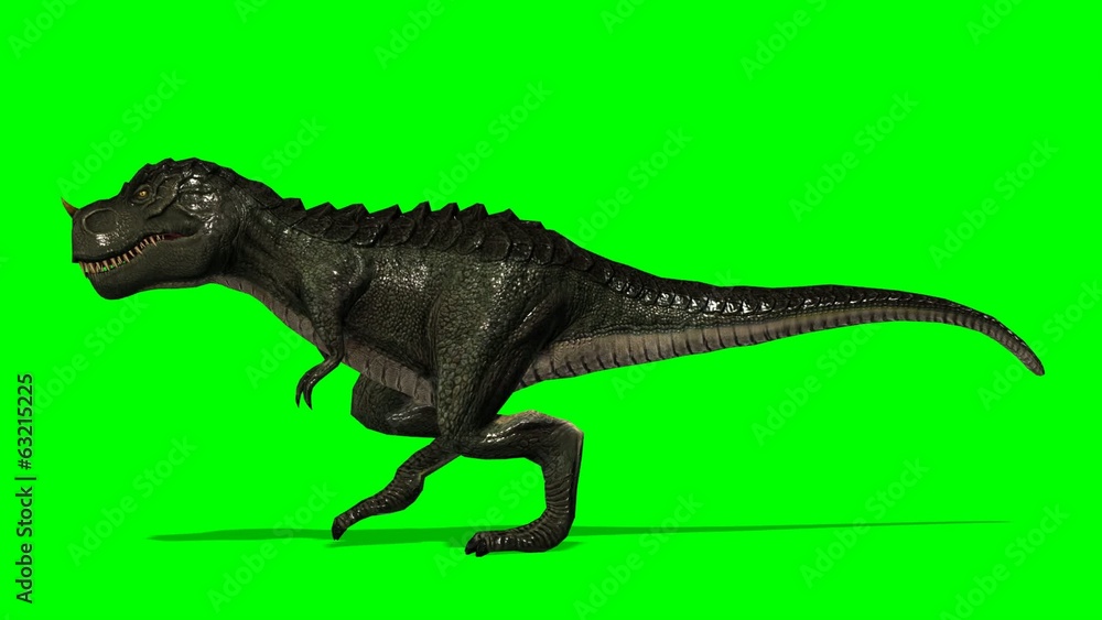 Dinosaur Tyrannosaurus T-Rex walks - green screen Dinosaur Tyrannosaurus T-Rex walks - green screen