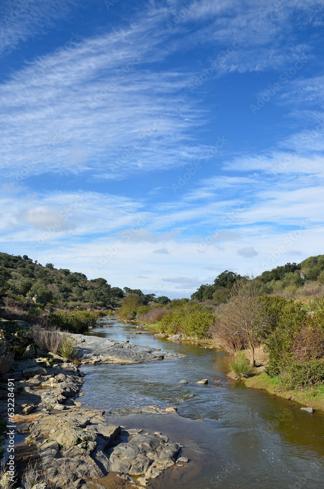 landscape with a river landscape with a river