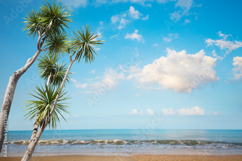 Fototapeta Naklejka Na Ścianę i Meble -  Palms by the Sea