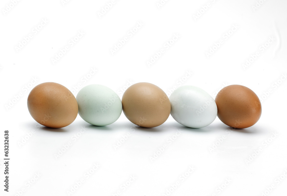 Line of eggs Line of eggs