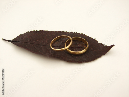 Quadro em tela mariage alliance automne