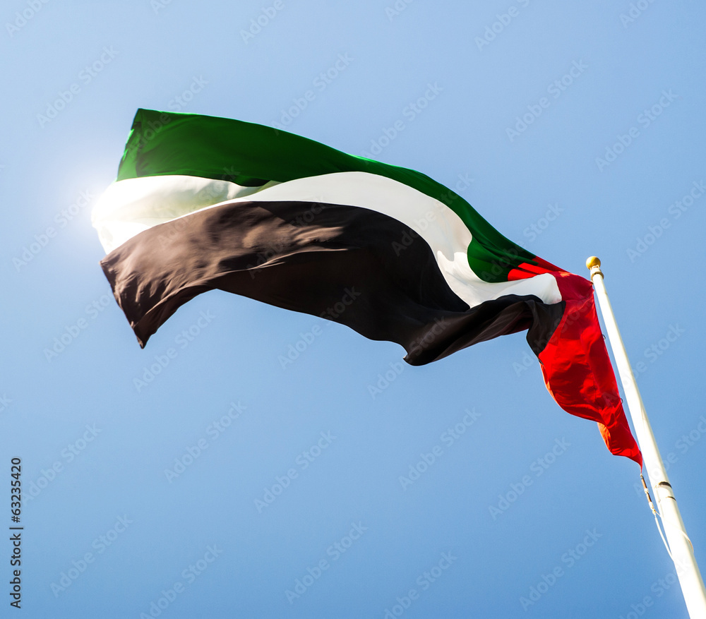 Obraz premium United Arab Emirates flag