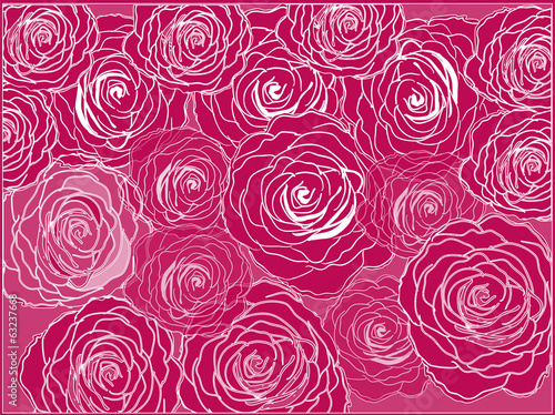 white and red rose flower background
