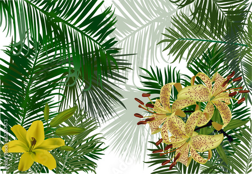 Fototapeta Naklejka Na Ścianę i Meble -  yellow lily flowers on green palm foliage background