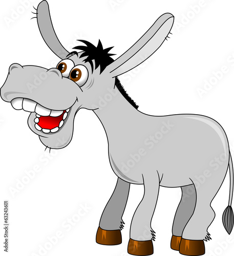 donkey