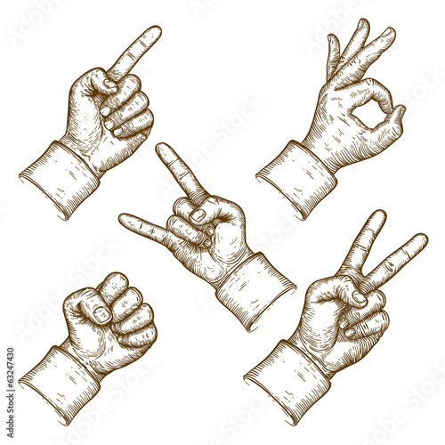 engraving vector illustration of five hands