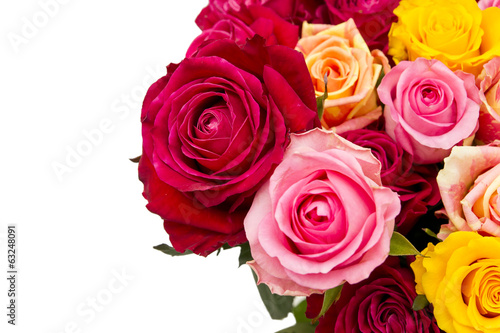 Multicolored roses © staras