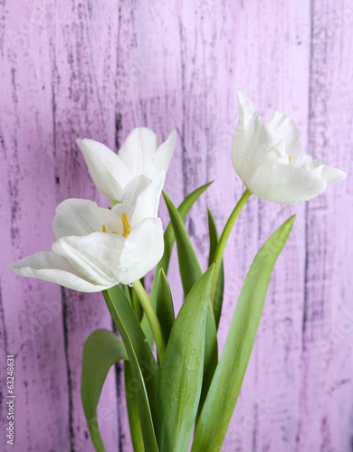 Fototapeta Naklejka Na Ścianę i Meble -  Beautiful tulips on wooden background