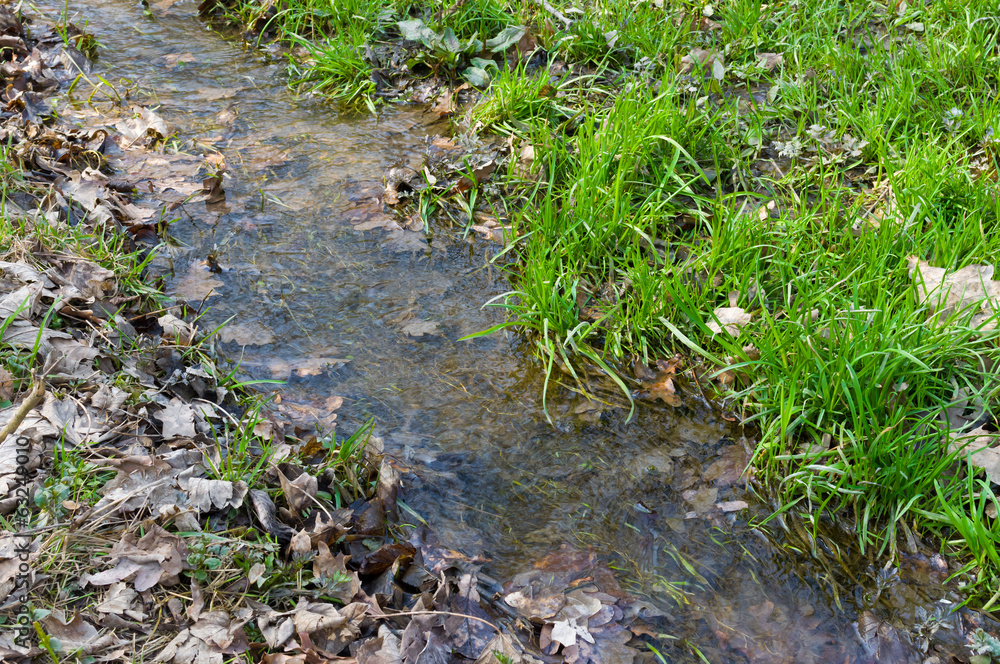 Stream divides world of dead and alive nature Stream divides world of dead and alive nature