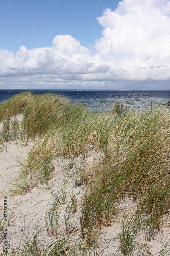 Dänemark Strand