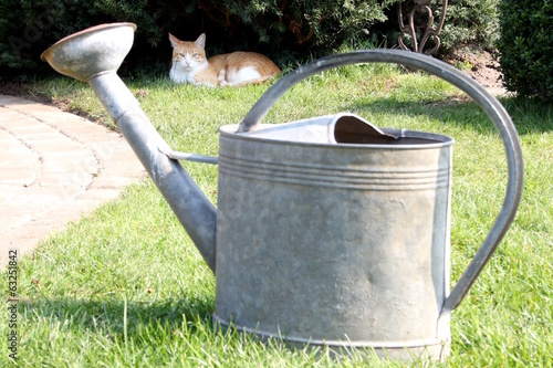 Katze mit Metallgießkanne, Gartenidylle