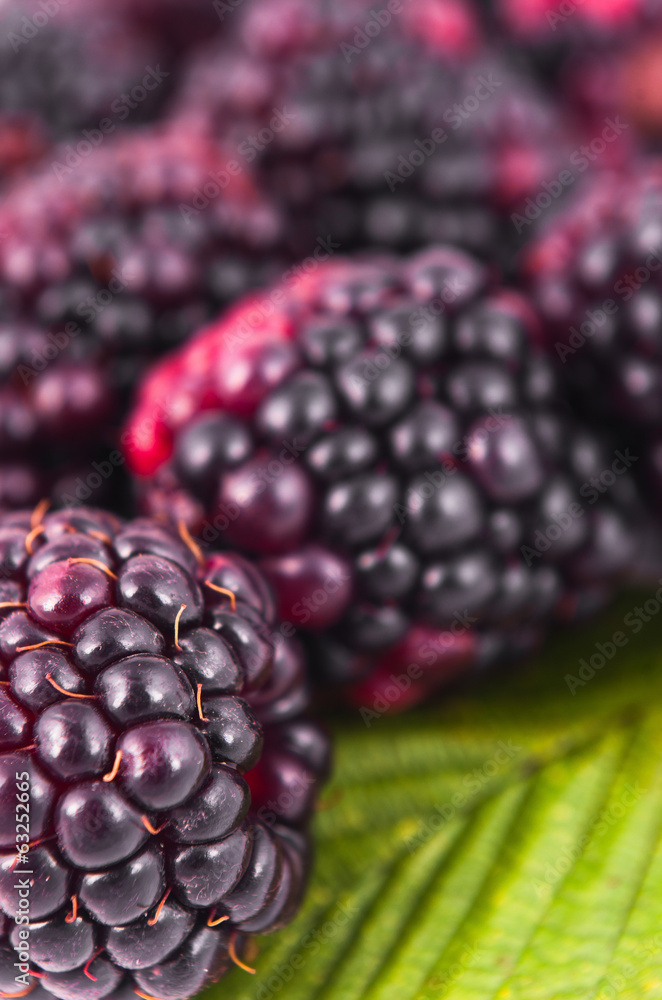 blackberries blackberries