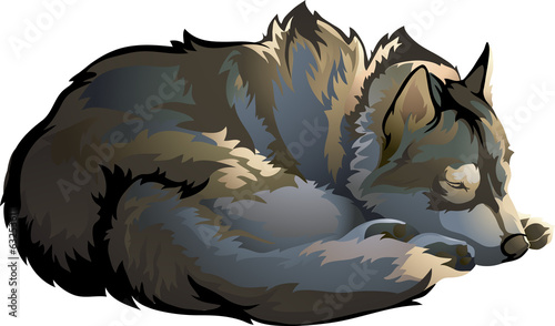 sleeping wolf