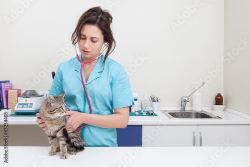 Young female veterinary caring of a cute cat