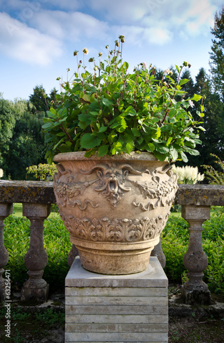 garden pot