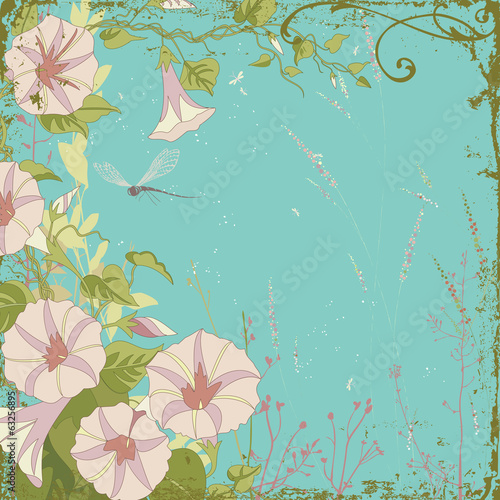 Frame composition with morning glory