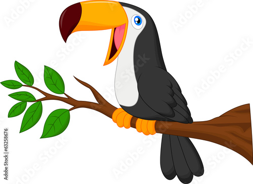 Cute toucan bird cartoon
