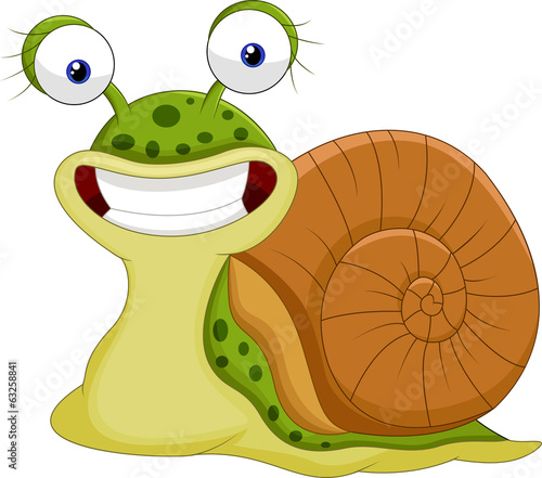 Cute snail cartoon © tigatelu