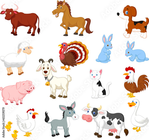 Farm animal collection set