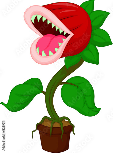 Carnivorous plant
