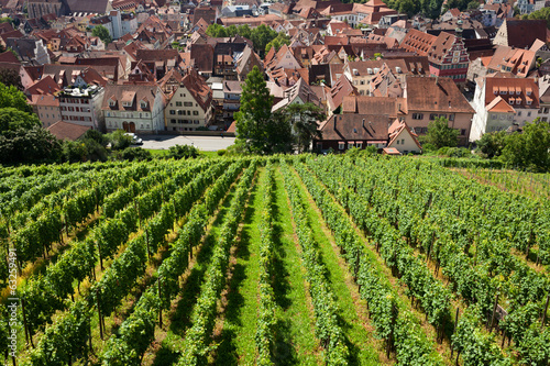Beautiful geman city and wine fields photo