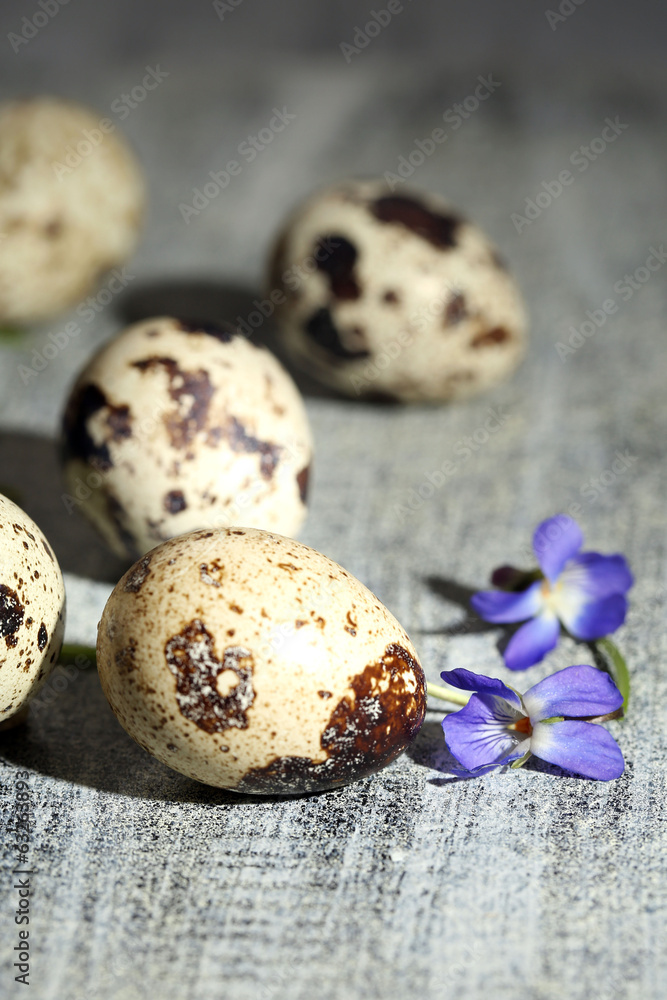 Fototapeta premium Easter composition with violets flowers in egg shells