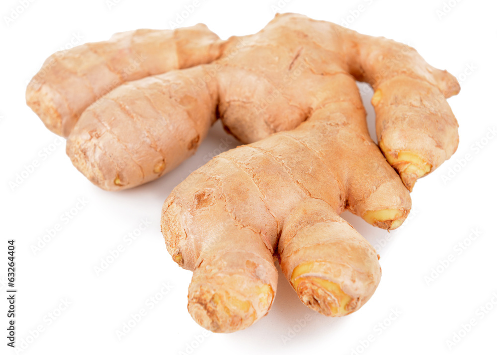 Ginger isolated on white Ginger isolated on white