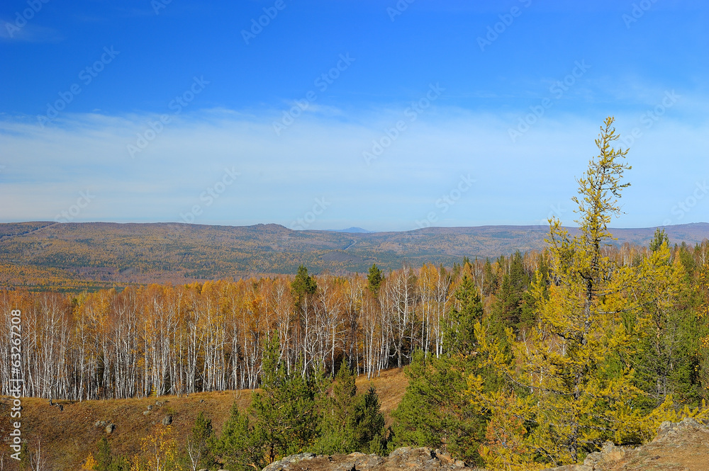 Golden fall in South Ural mountains