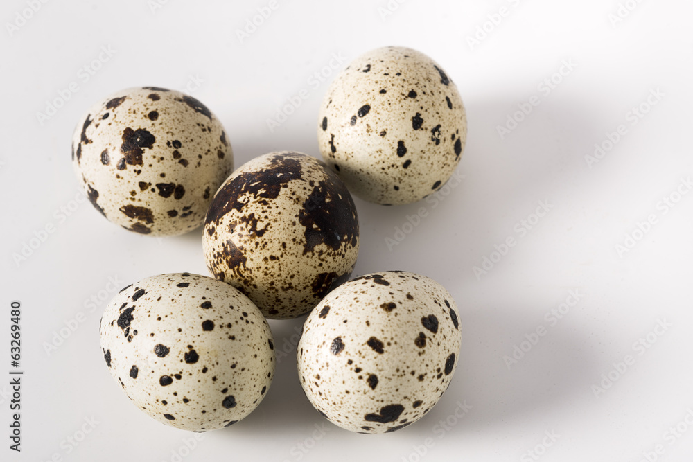 quail eggs on a white background quail eggs on a white background