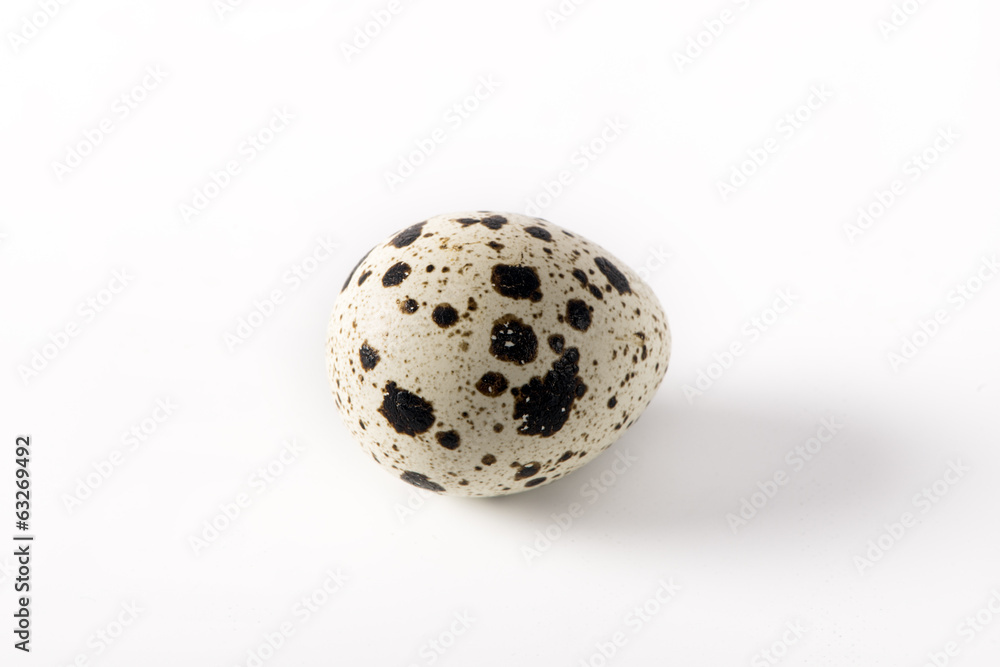 quail eggs on a white background quail eggs on a white background