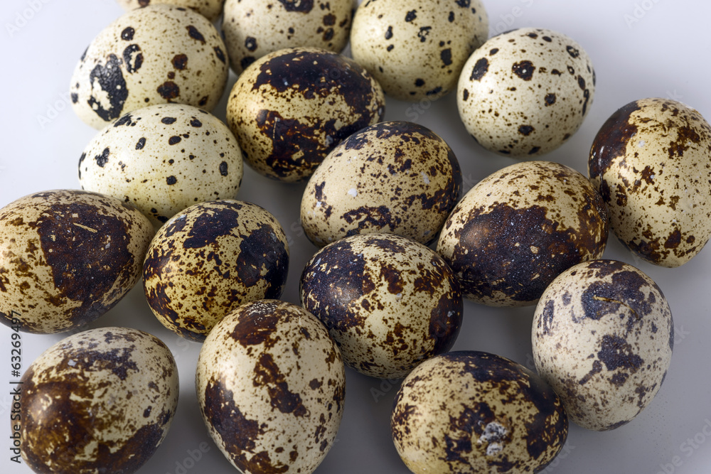 quail eggs on a white background quail eggs on a white background