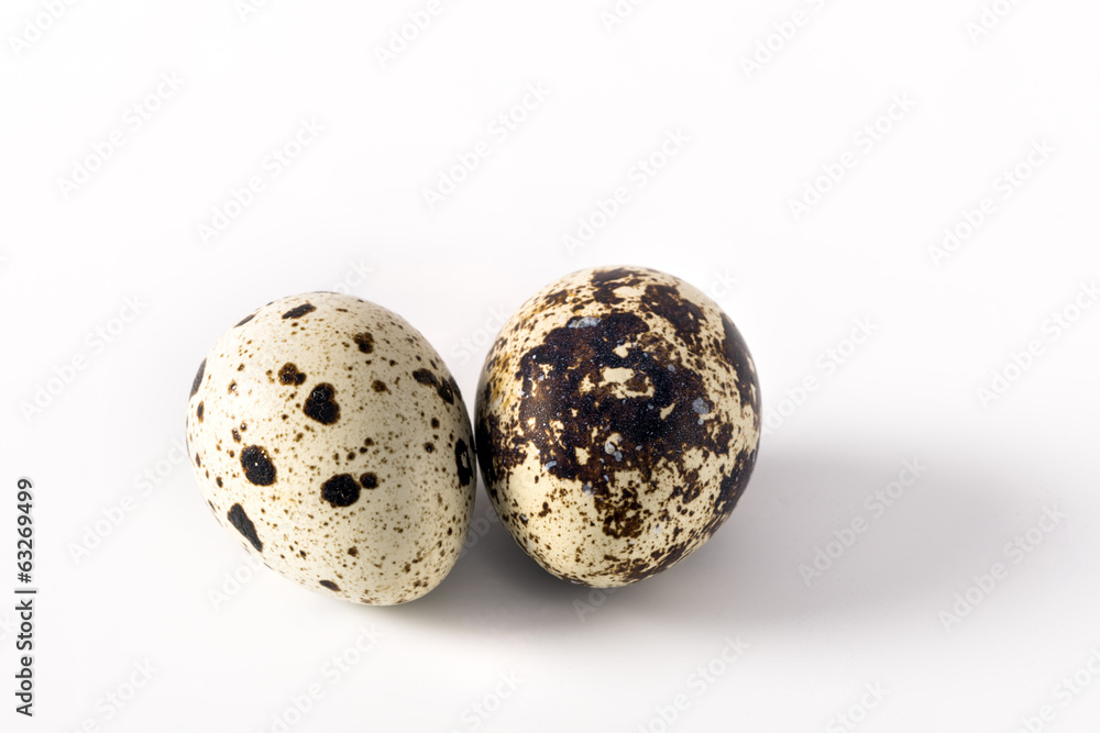 quail eggs on a white background quail eggs on a white background