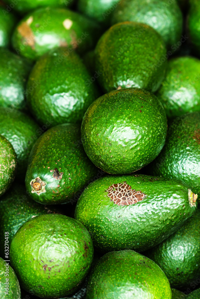 Fresh green avocado. Avocado background. Food background. Fresh green avocado. Avocado background. Food background.