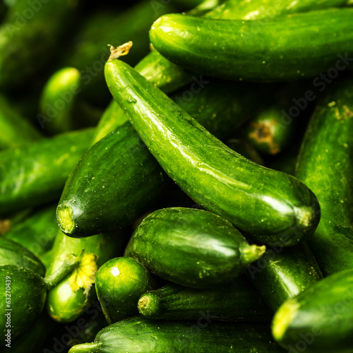 Fresh green cucumber collection on market close up.  Cucumber  b