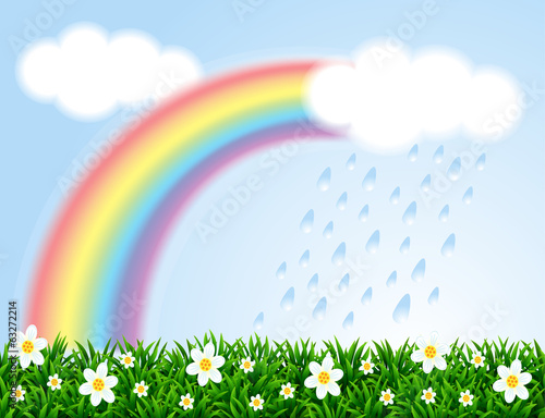 Landscape with a rainbow and camomiles.