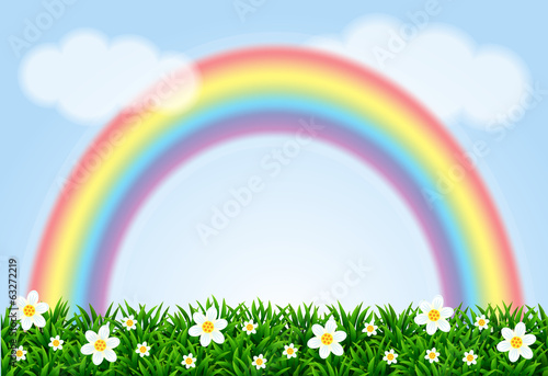 Landscape with a rainbow and camomiles.