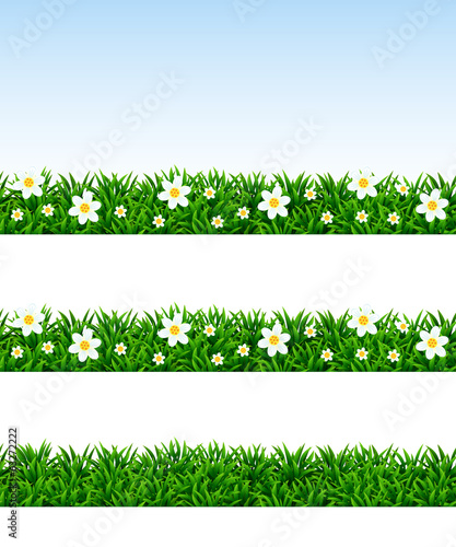 Seamless borders with a grass and camomiles