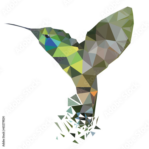 Kolibri abstrakt Vektor Illustration