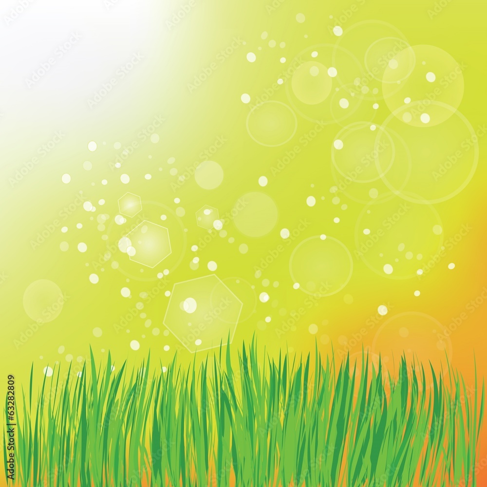 Obraz premium spring grass