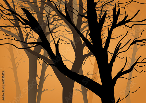 Silhouette illustration of branches without leaves