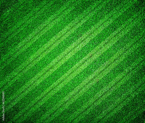green grass lined football or soccer field