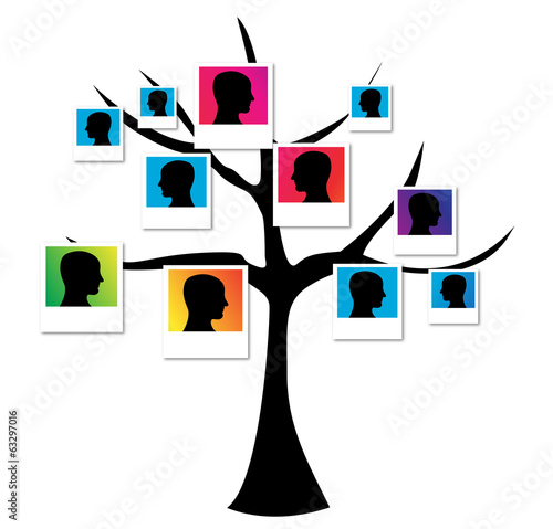 Diversity and genealogy