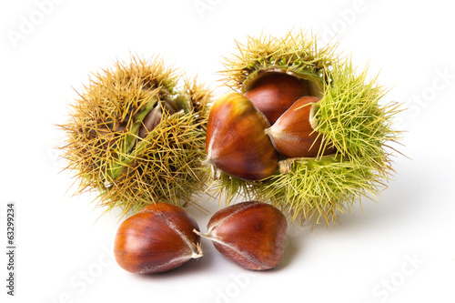 Chestnuts close-up