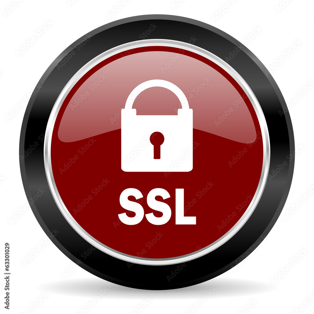 ssl icon