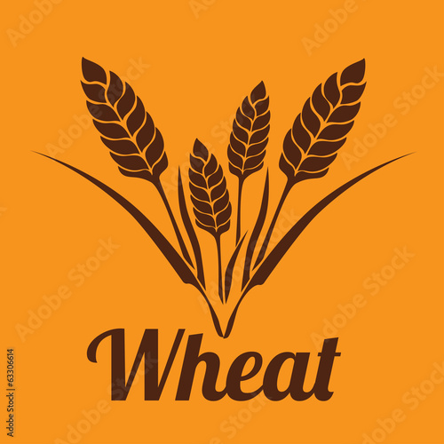 Food design