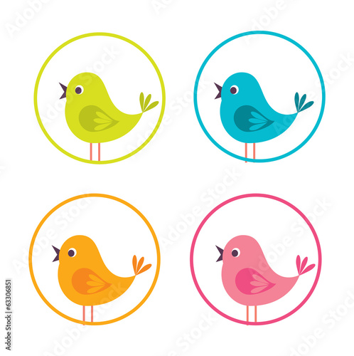 birdie design